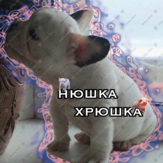 Логотип @twodogsand - 🐽нюшка хрюшка🐷