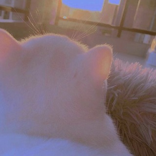 Логотип @txtkononori - пишет...