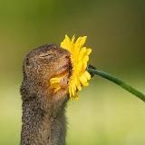 Логотип @tykha_nava - Українські серіали | Тиха Нава