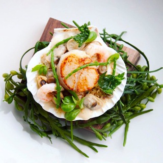 Логотип @typical_cook - Фото Еды. Рецепты. Путешествия.