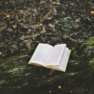 Логотип @typicalsurv_books - Типичный Выживальщик ™ - книги о выживании