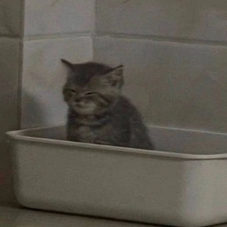 Логотип @typicaluntypical - типичный нетипичный блог