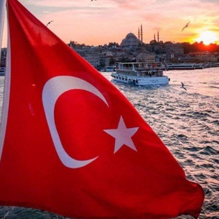 Логотип @tys_milliy_turk_tili - Türk tilidan milliy va TYSga tayyorlov darslari (Shahrizoda hoca ile birlikte)