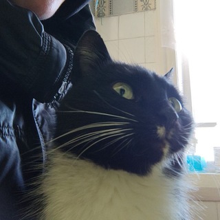 Логотип @tyt_rew1 - Abyss