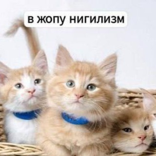 Логотип @tytvsechat - Чат молчунов