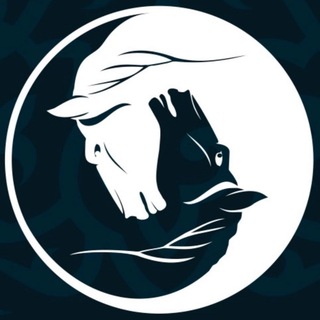 Логотип @tyurgenkam - Дневник шамана