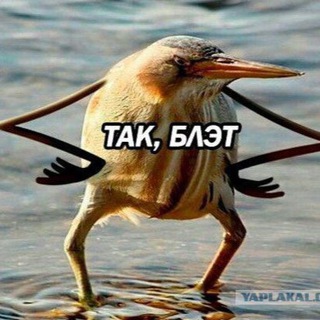 Логотип @u4cup - U4CUP Флудильня