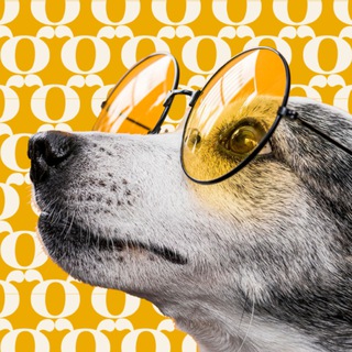 Логотип @uae_pets - ОАЭ с питомцем (собака, кошка и проч)