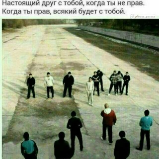 Логотип @udardostla - Dosla
