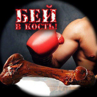 Логотип @udarvkost - Бей в кость | Бокс и MMA