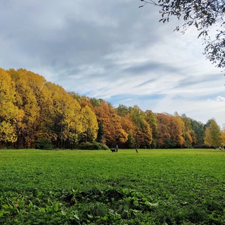Логотип @udelnyjpark - Удельный парк 🌳