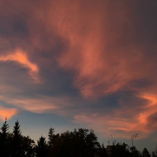 Логотип @udenspiliens - здесь сидит ромочка