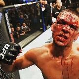 UFC 316 ПРЯМАЯ ТРАНСЛЯЦИЯ