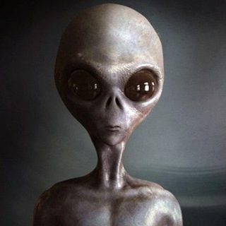 Логотип @ufologian - UFO