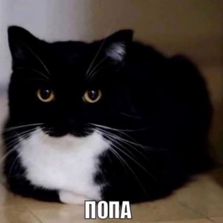 Логотип @ugarnijememi - Гiвно