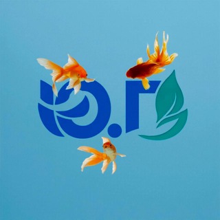 Логотип @ugmsk - 🌊Ю.Г.🌊 Студия аквариумного дизайна(Аквариумы,обслуживание аквариумов,аквариумные растения и т.д.️)