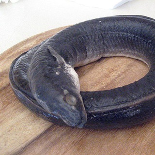 Логотип @ugor39 - Копченный угорь