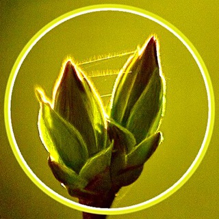 Логотип @ugreshalife - Паломнический центр УГРЕША