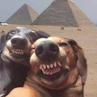 Логотип @uh_uh_daa - Скромные девочки с нескромными подписками