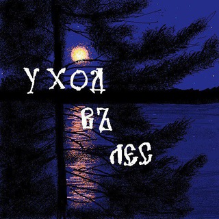 Логотип @uhod_v_les - Уход в лес 🍄