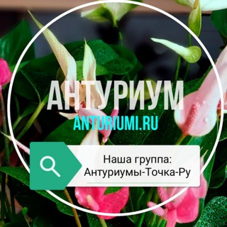 Логотип @uhod_za_anthurium - Уход за Антуриумом