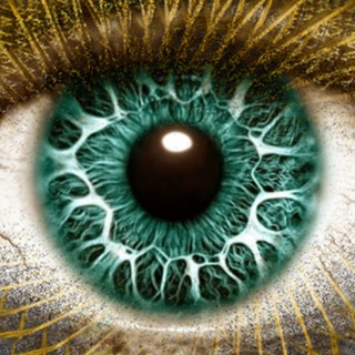 Логотип @uk_psy - PsyUA