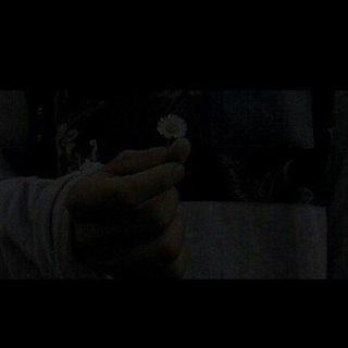 Логотип @ukkosha_pg - #cosmos🪐