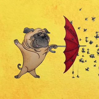 Логотип @ukol_z - Укол Zонтиком