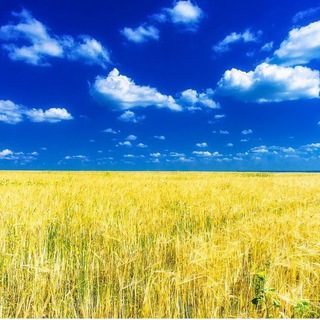 Логотип @ukraine_7_7_7 - Під жовто-блакитним небом🇺🇦