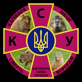 Логотип @ukrcapy - Капібарні Сили України 🇺🇦