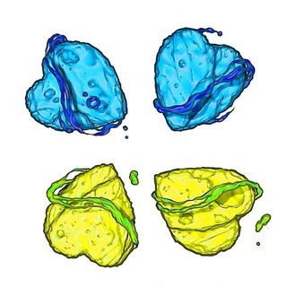 Логотип @ukrchan - UKRCHAN ↑↑↑ | #УкрТґ