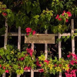 Логотип @ukreplyayiman - Укрепляй Иман