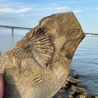 Логотип @ulevents - Афиша и все события. Ульяновск