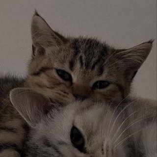 Логотип @ulovethat - Люблю