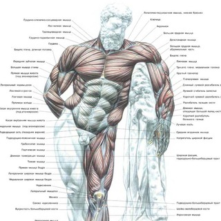 Логотип @um_atletizm_ru - УМНЫЙ АТЛЕТИЗМ - НАУЧНЫЙ И ДУХОВНЫЙ ПОДХОД