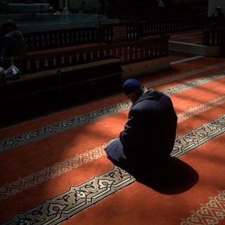 Логотип @umarqori_uz - Ahsanul hadis