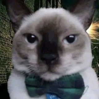 Логотип @umarumemes24 - 🐊 < ִ ! UmaruMemes ׄ 𝅃