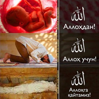 Логотип @umatga_eslatma - ЭСЛАТМА ☝ ШОЯД АЛЛОХ БИЗДАН РОЗИ БЎЛСА ИН ША АЛЛОХ !