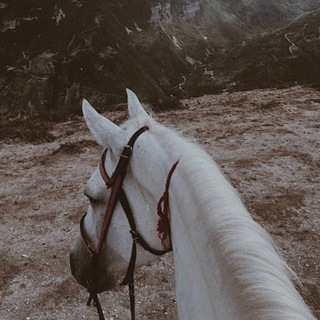 Логотип @umatiii_1 - ummatii_1