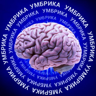 Логотип @umbra_m - Умбрика🧠
