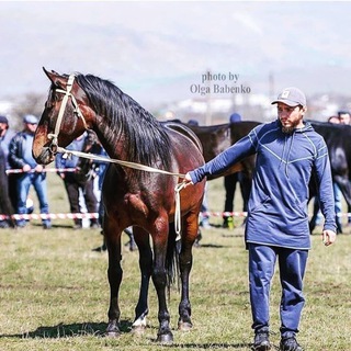 Логотип @umeir09 - Umeir_09