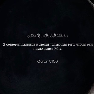 Логотип @ummfaruh - Исламская Викторина Коран