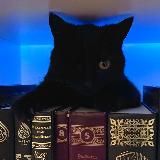 Логотип @ummusaadnotes - конспекты