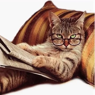 Логотип @umnykot - Умный кот