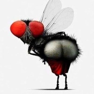 Логотип @umora_tg - Ⓜух🅰