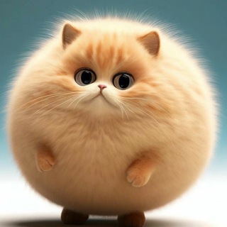 Логотип @umorkrug - КРУГЛЫЙ ЮМОР