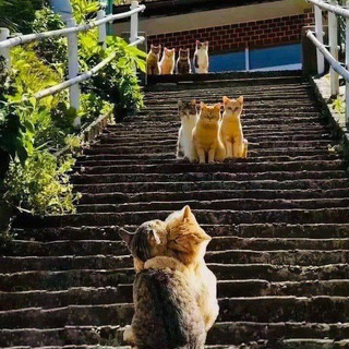 Логотип @umrbitiklari_chat - Samimiy chat🍃