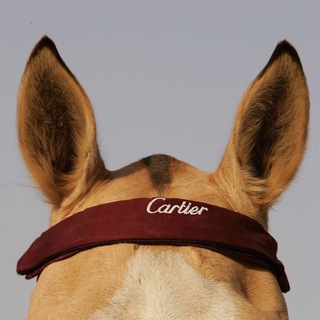 Логотип @un_journal - unaccountable