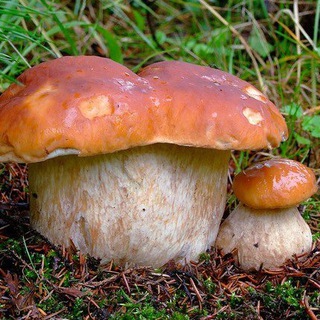 Логотип @unanoners - Неанонимные читатели