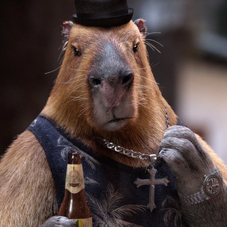 Логотип @under_pivo - Under Pivo